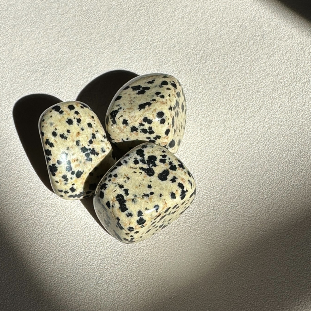 Dalmatiner Jaspis - Leichtigkeit, Schutz, Freude, Beziehungen -